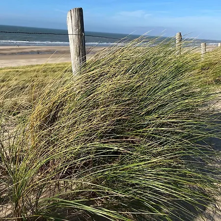 Vakantiewoning Zon, Zee & Duin - *