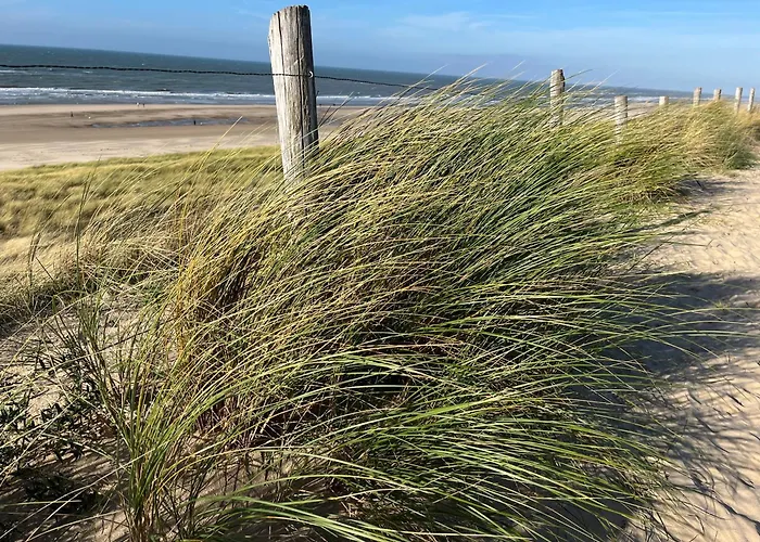 Vakantiewoning Zon, Zee & Duin - *